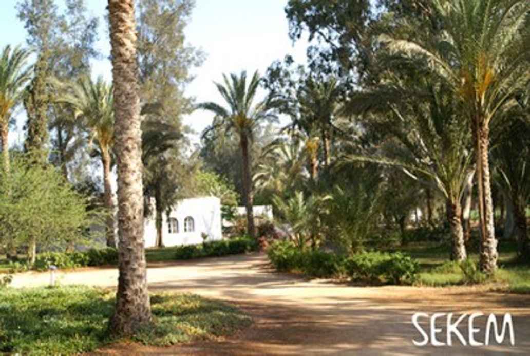 sekem farm